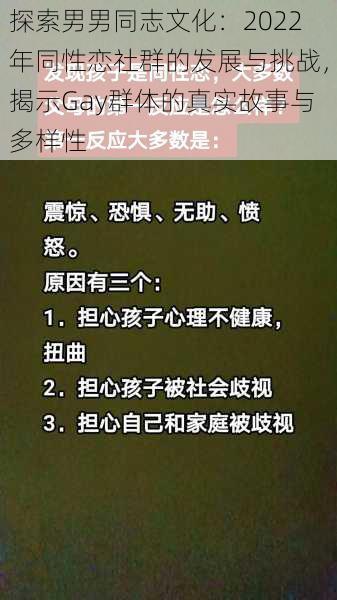 探索男男同志文化：2022年同性恋社群的发展与挑战，揭示Gay群体的真实故事与多样性