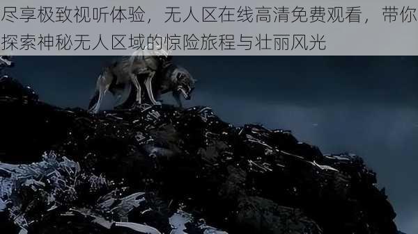 尽享极致视听体验，无人区在线高清免费观看，带你探索神秘无人区域的惊险旅程与壮丽风光