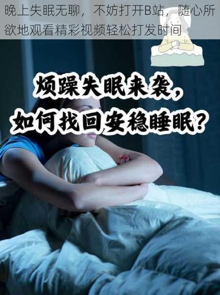 晚上失眠无聊，不妨打开B站，随心所欲地观看精彩视频轻松打发时间