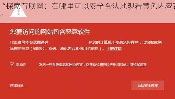 “探索互联网：在哪里可以安全合法地观看黄色内容？”