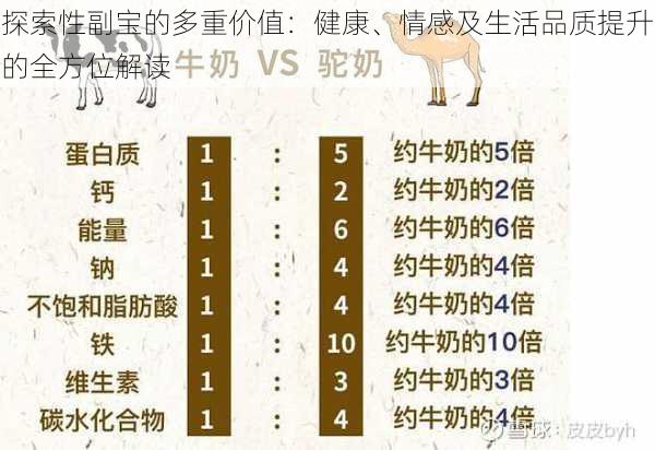 探索性副宝的多重价值：健康、情感及生活品质提升的全方位解读