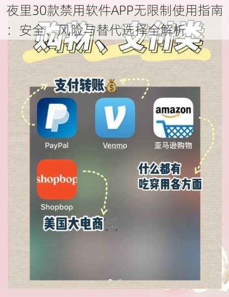 夜里30款禁用软件APP无限制使用指南：安全、风险与替代选择全解析