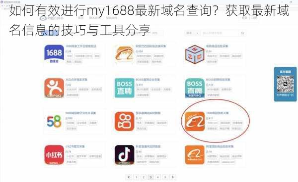 如何有效进行my1688最新域名查询？获取最新域名信息的技巧与工具分享