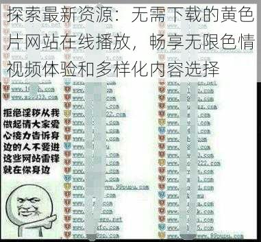 探索最新资源：无需下载的黄色片网站在线播放，畅享无限色情视频体验和多样化内容选择