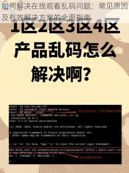 如何解决在线观看乱码问题：常见原因及有效解决方案的全面指南