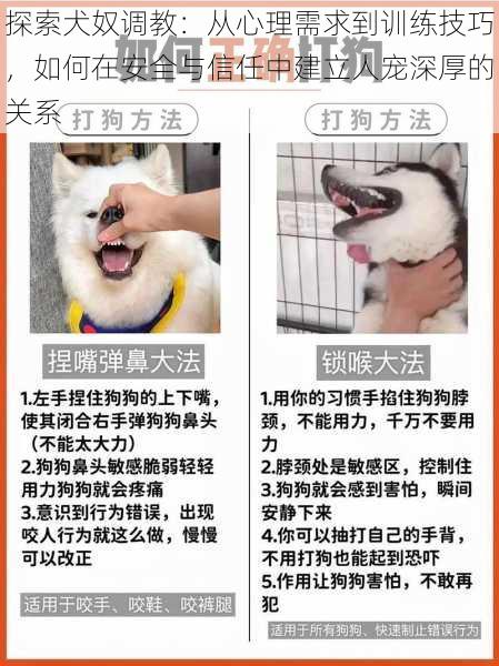 探索犬奴调教：从心理需求到训练技巧，如何在安全与信任中建立人宠深厚的关系