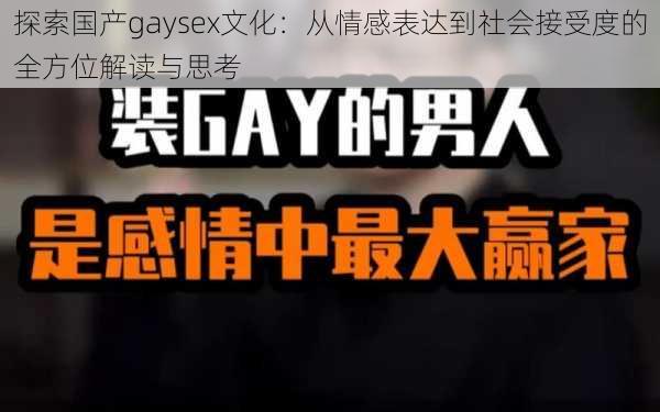 探索国产gaysex文化：从情感表达到社会接受度的全方位解读与思考