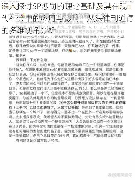 深入探讨SP惩罚的理论基础及其在现代社会中的应用与影响：从法律到道德的多维视角分析