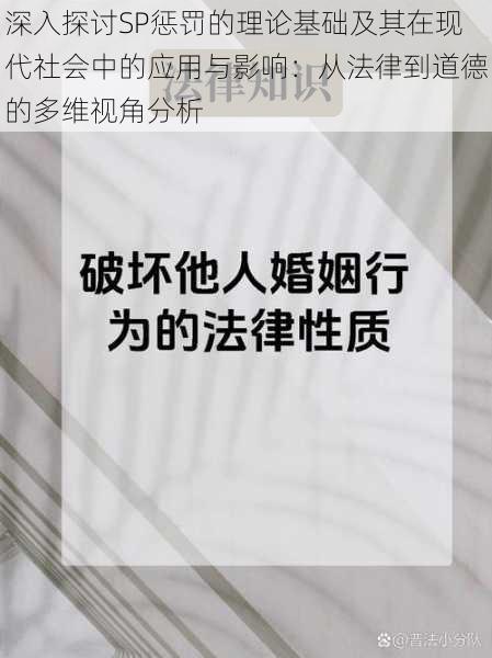 深入探讨SP惩罚的理论基础及其在现代社会中的应用与影响：从法律到道德的多维视角分析