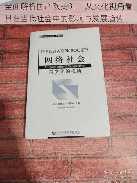 全面解析国产欧美91：从文化视角看其在当代社会中的影响与发展趋势