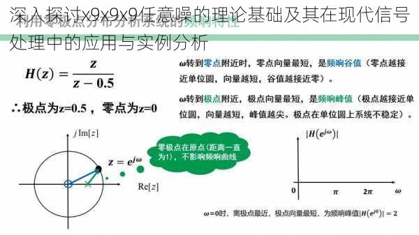 深入探讨x9x9x9任意噪的理论基础及其在现代信号处理中的应用与实例分析