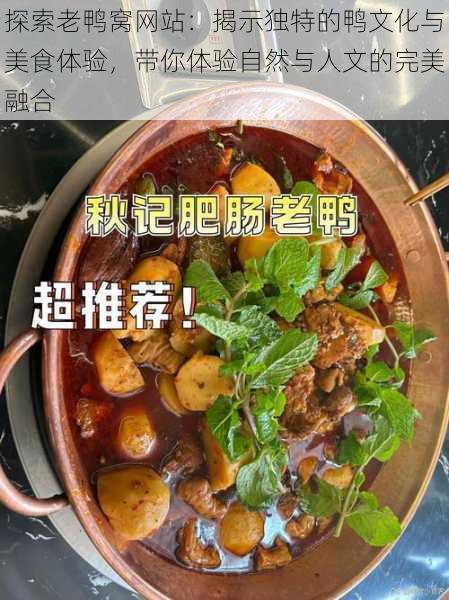 探索老鸭窝网站：揭示独特的鸭文化与美食体验，带你体验自然与人文的完美融合