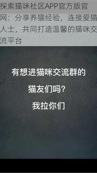 探索猫咪社区APP官方版官网：分享养猫经验，连接爱猫人士，共同打造温馨的猫咪交流平台