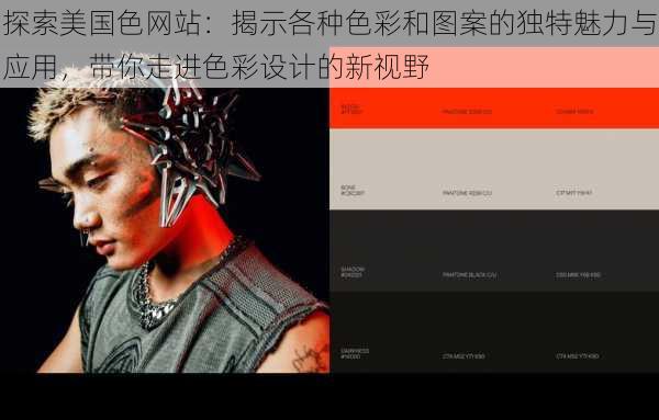 探索美国色网站：揭示各种色彩和图案的独特魅力与应用，带你走进色彩设计的新视野
