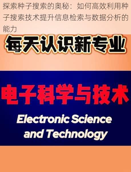 探索种子搜索的奥秘：如何高效利用种子搜索技术提升信息检索与数据分析的能力