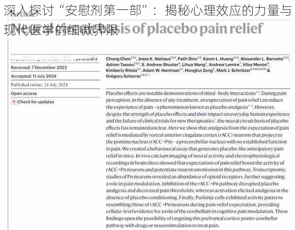 深入探讨“安慰剂第一部”：揭秘心理效应的力量与现代医学的细微界限