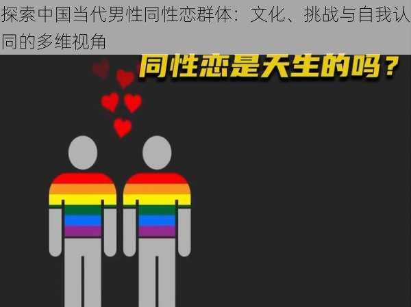 探索中国当代男性同性恋群体：文化、挑战与自我认同的多维视角