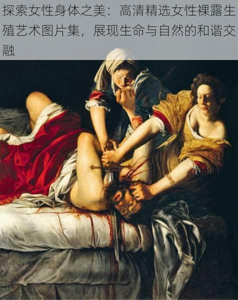 探索女性身体之美：高清精选女性裸露生殖艺术图片集，展现生命与自然的和谐交融