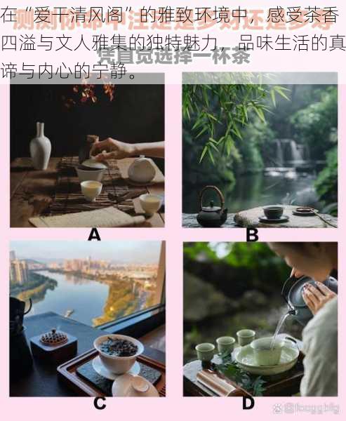 在“爱干清风阁”的雅致环境中，感受茶香四溢与文人雅集的独特魅力，品味生活的真谛与内心的宁静。