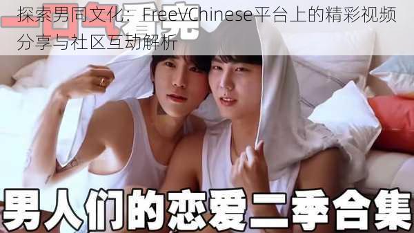 探索男同文化：FreeVChinese平台上的精彩视频分享与社区互动解析