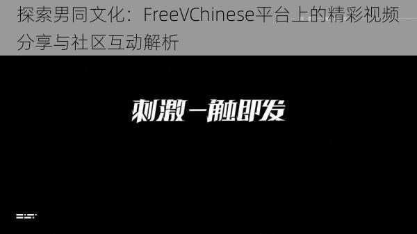 探索男同文化：FreeVChinese平台上的精彩视频分享与社区互动解析