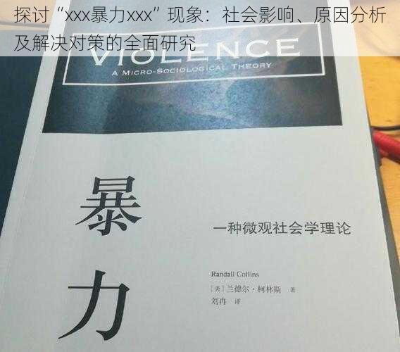 探讨“xxx暴力xxx”现象：社会影响、原因分析及解决对策的全面研究