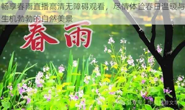 畅享春雨直播高清无障碍观看，尽情体验春日温暖与生机勃勃的自然美景