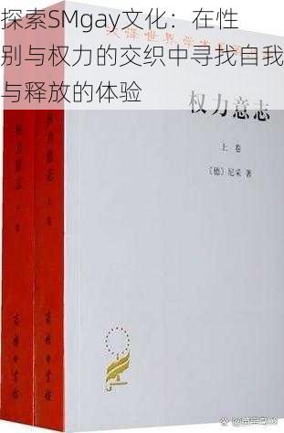 探索SMgay文化：在性别与权力的交织中寻找自我与释放的体验