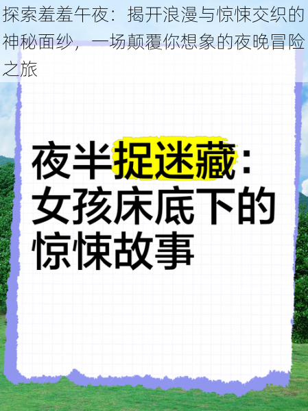 探索羞羞午夜：揭开浪漫与惊悚交织的神秘面纱，一场颠覆你想象的夜晚冒险之旅