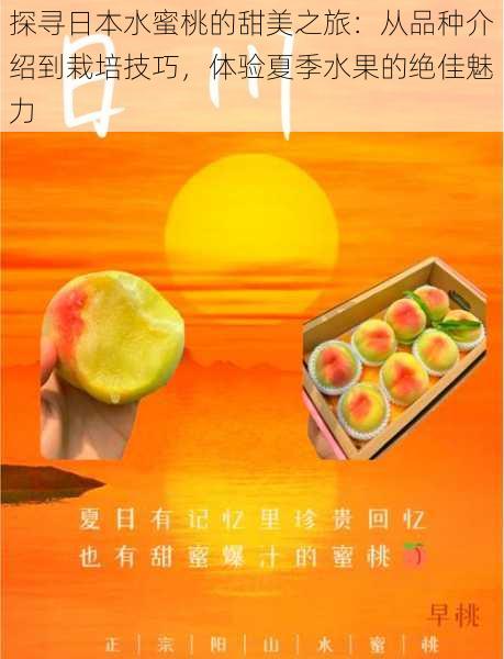 探寻日本水蜜桃的甜美之旅：从品种介绍到栽培技巧，体验夏季水果的绝佳魅力