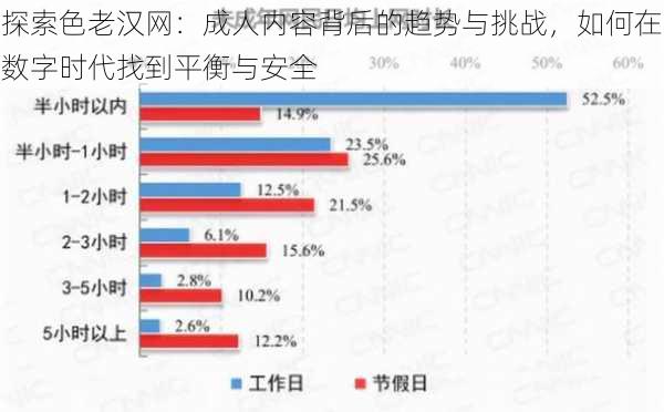 探索色老汉网：成人内容背后的趋势与挑战，如何在数字时代找到平衡与安全