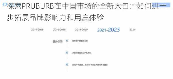 探索PRUBURB在中国市场的全新入口：如何进一步拓展品牌影响力和用户体验