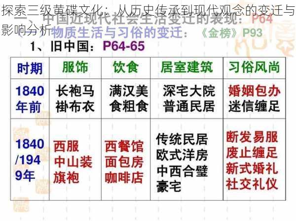 探索三级黄碟文化：从历史传承到现代观念的变迁与影响分析