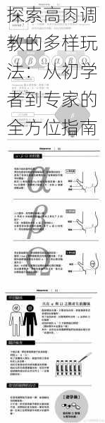 探索高肉调教的多样玩法：从初学者到专家的全方位指南