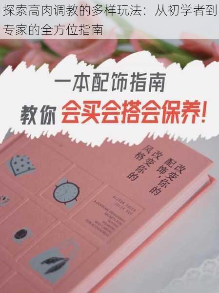 探索高肉调教的多样玩法：从初学者到专家的全方位指南