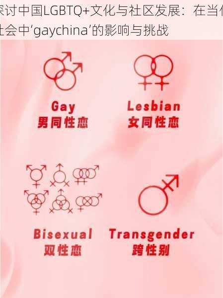 探讨中国LGBTQ+文化与社区发展：在当代社会中‘gaychina’的影响与挑战