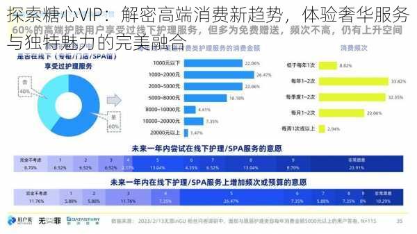 探索糖心VIP：解密高端消费新趋势，体验奢华服务与独特魅力的完美融合