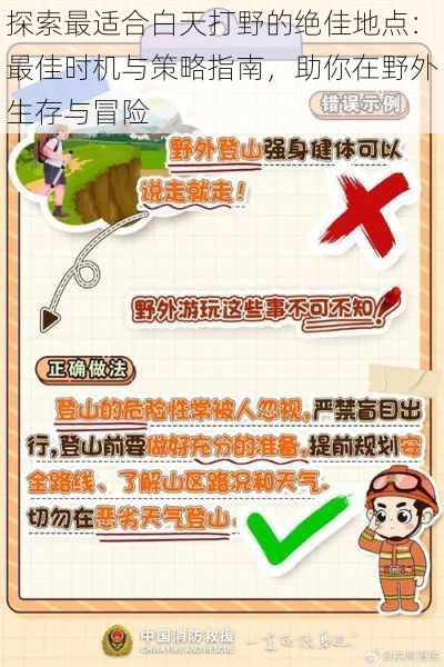 探索最适合白天打野的绝佳地点：最佳时机与策略指南，助你在野外生存与冒险