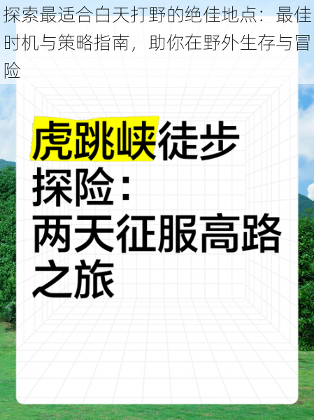 探索最适合白天打野的绝佳地点：最佳时机与策略指南，助你在野外生存与冒险