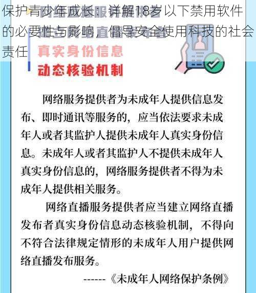 保护青少年成长：详解18岁以下禁用软件的必要性与影响，倡导安全使用科技的社会责任