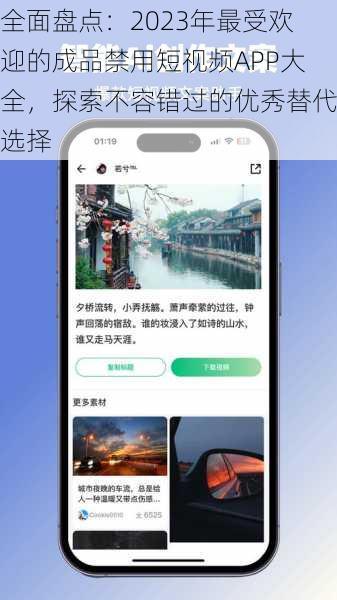 全面盘点：2023年最受欢迎的成品禁用短视频APP大全，探索不容错过的优秀替代选择