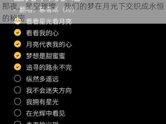 那夜，星空璀璨，我们的梦在月光下交织成永恒的秘密