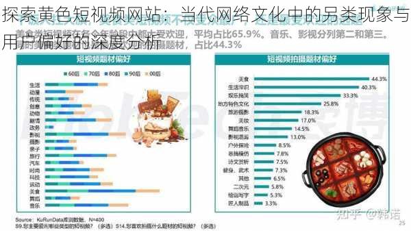 探索黄色短视频网站：当代网络文化中的另类现象与用户偏好的深度分析