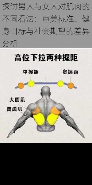 探讨男人与女人对肌肉的不同看法：审美标准、健身目标与社会期望的差异分析