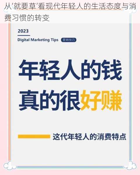 从‘就要草’看现代年轻人的生活态度与消费习惯的转变