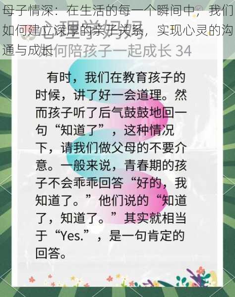 母子情深：在生活的每一个瞬间中，我们如何建立深厚的亲子关系，实现心灵的沟通与成长