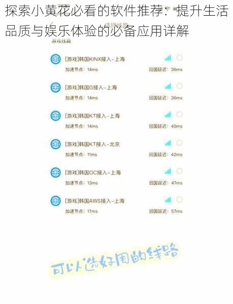 探索小黄花必看的软件推荐：提升生活品质与娱乐体验的必备应用详解