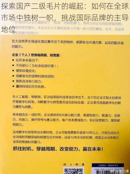 探索国产二级毛片的崛起：如何在全球市场中独树一帜，挑战国际品牌的主导地位