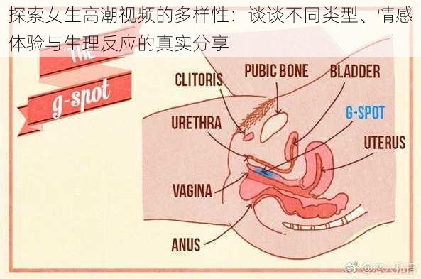 探索女生高潮视频的多样性：谈谈不同类型、情感体验与生理反应的真实分享