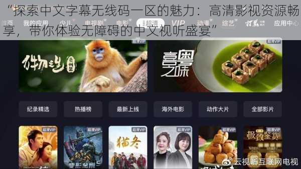 “探索中文字幕无线码一区的魅力：高清影视资源畅享，带你体验无障碍的中文视听盛宴”